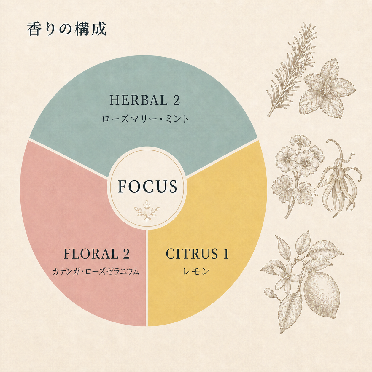 フォーカス ブレンドエッセンシャルオイル 10mlの香りの構成図
