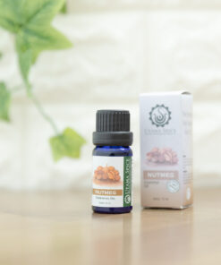 ナツメグ エッシェンシャルオイル 10ml