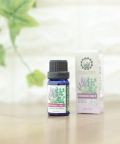 ブレンドオイル レミニセンス10ml