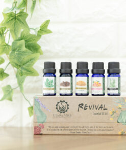 エッシェンシャルオイルセットリバイバル