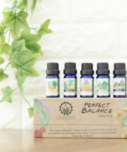 エッシェンシャルオイルセットパーフェクトバランス