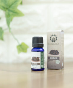 クベブ10ml
