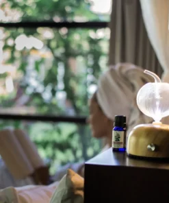 ディフューザーダナウ