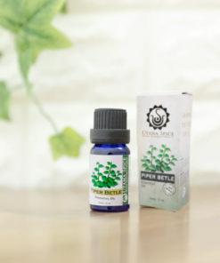 パイパーベトル 10ml