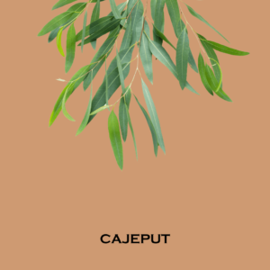 カユプテリーフ