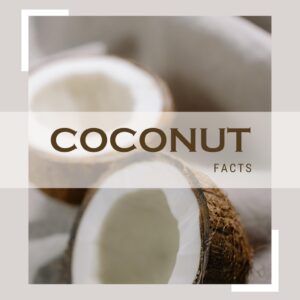 ココナッツオイル