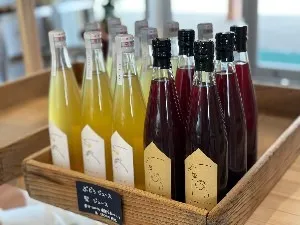 fukuchi_marche_merci