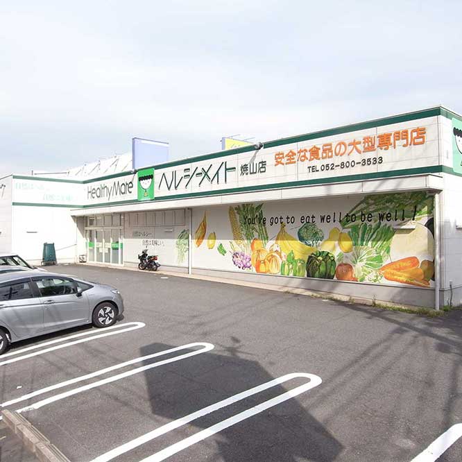 株式会社ヘルシーメイト