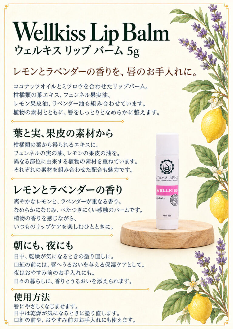 リップ ウェルキッス 5gの商品案内